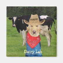 Mejerilabb Kylskåpmagneter