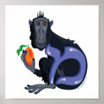Mem macaquen, hebréiskt tryck för Aleph vad (alfab Affisch