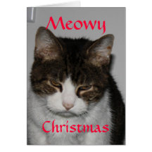 Meowy jul - katten Julhälsningar kortet