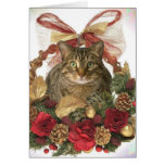 Meowy jul! kort