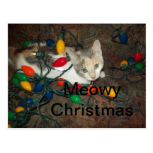 Meowy jul vykort
