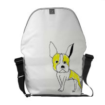 messenger bag