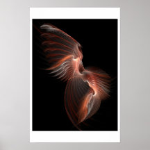 Metamorphosis Affischer