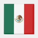Mexico flaggamagnet kylskåpmagneter