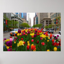 Michigan Ave, Chicago Print