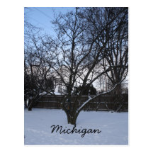 Michigan vintervykort
