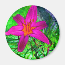 Midnatt gul daisy magneter
