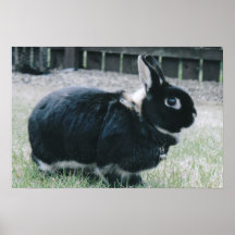 Midnatt Print