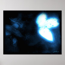 Midnatt trädgård posters