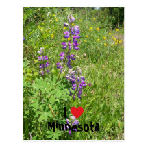 Mig hjärta Minnesota Vykort