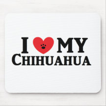 Mig ♥ min Chihuahua Mus Mattor