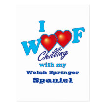 Mig walesisk SpringerSpaniel för Woof Vykort