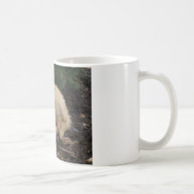 Millie Kaffe Muggar