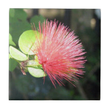 Mimosa Trivet Kakel