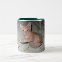 Min katt kaffe koppar