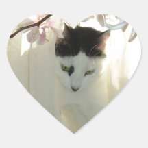 Min nätt vit- och svartkattunge hjärtklistermärken