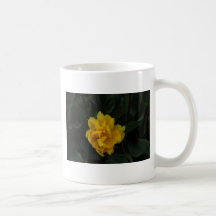 Min personliga tulpan kaffe kopp