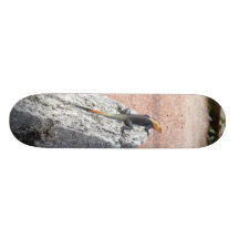 Min sten skate board decks