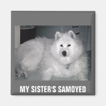 MIN SYSTER SAMOYED KYLSKÅPMAGNETER