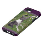 Mini- häst iPhone 5 Case-Mate fodraler
