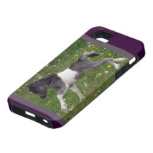 Mini- häst iPhone 5 Case-Mate fodraler