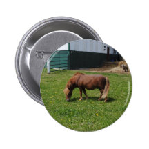 Mini- hästar knapp