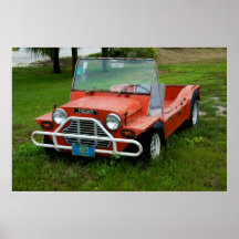 Mini- Moke Print