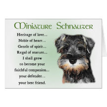 MiniatyrSchnauzergåvor Hälsnings Kort