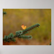 ~ minns vi inte dagar; vi minns ögonblicks~ posters