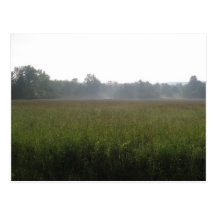 mist vykort