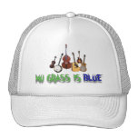 MITT GRÄS ÄR BLUE-HAT TRUCKER KEPS