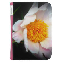 Mjuk rosa pion