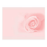 Mjuk rosa ros vykort