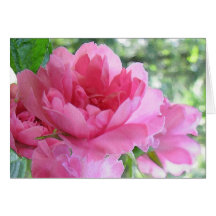 Mjuk rosa rosvänskap kort