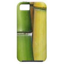 Mobilt fodral för bambu iPhone 5 Case-Mate fodral