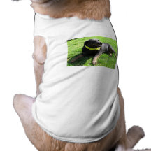 Mocka min Rotti:) Djurkläder