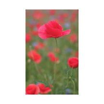 Mohn Leinwand Druck