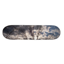 moln skateboard decks
