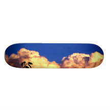Moln Skateboards