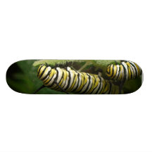 MONARKEN CATERPILLAR PARAR skridskodäcket Skateboard Deck