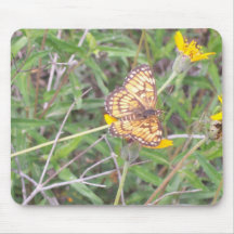 Monarken vilar in mus mattor