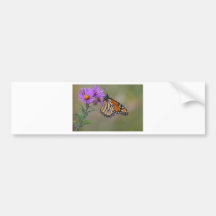 Monarkfjäril Bildekaler