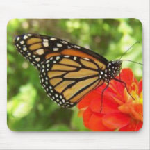 Monarkfjäril Mousepad Musmatta