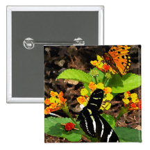 Monarkfjäril och sebrafjäril pins