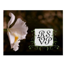 Mönster för Orchidsvarskortet överdrar på ramen Vykort