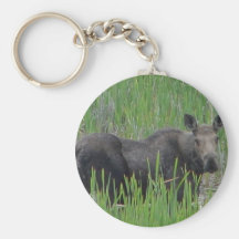 Montana älg nyckelringar