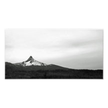 Montering Washington Fototryck
