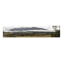 Monteringsbuffelpanorama Fotografi