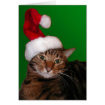 Mooki Santa - tomt kort
