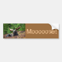 Moooose! Bildekal